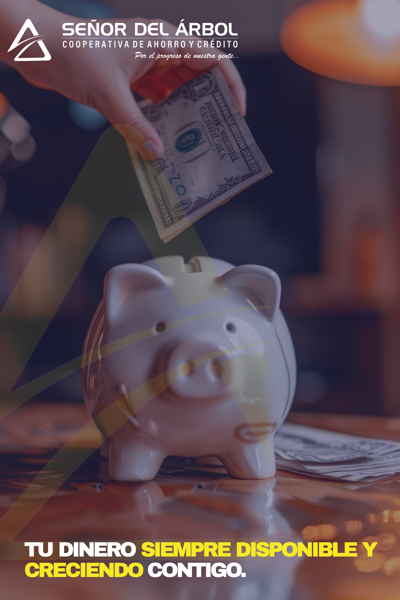 Ahorros a la Vista