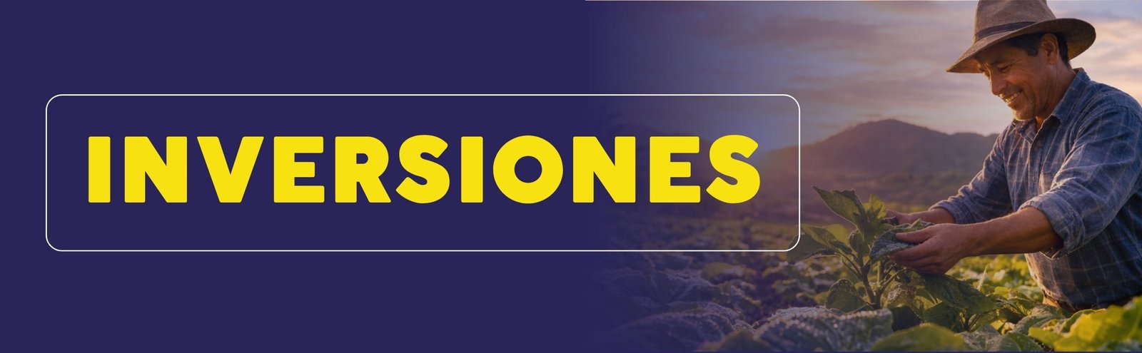 Banner de inversiones